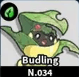 Budling