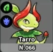 Tarro